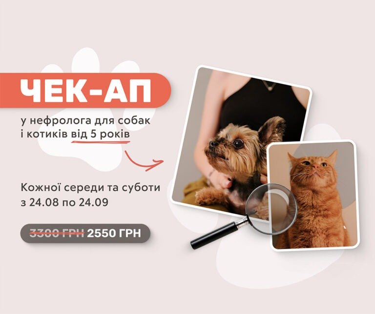 nefrolog sales