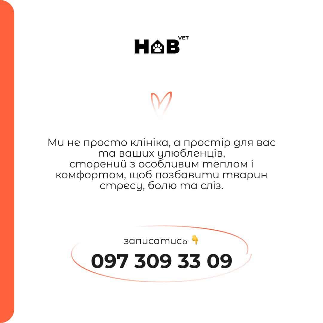 habvet-tab4