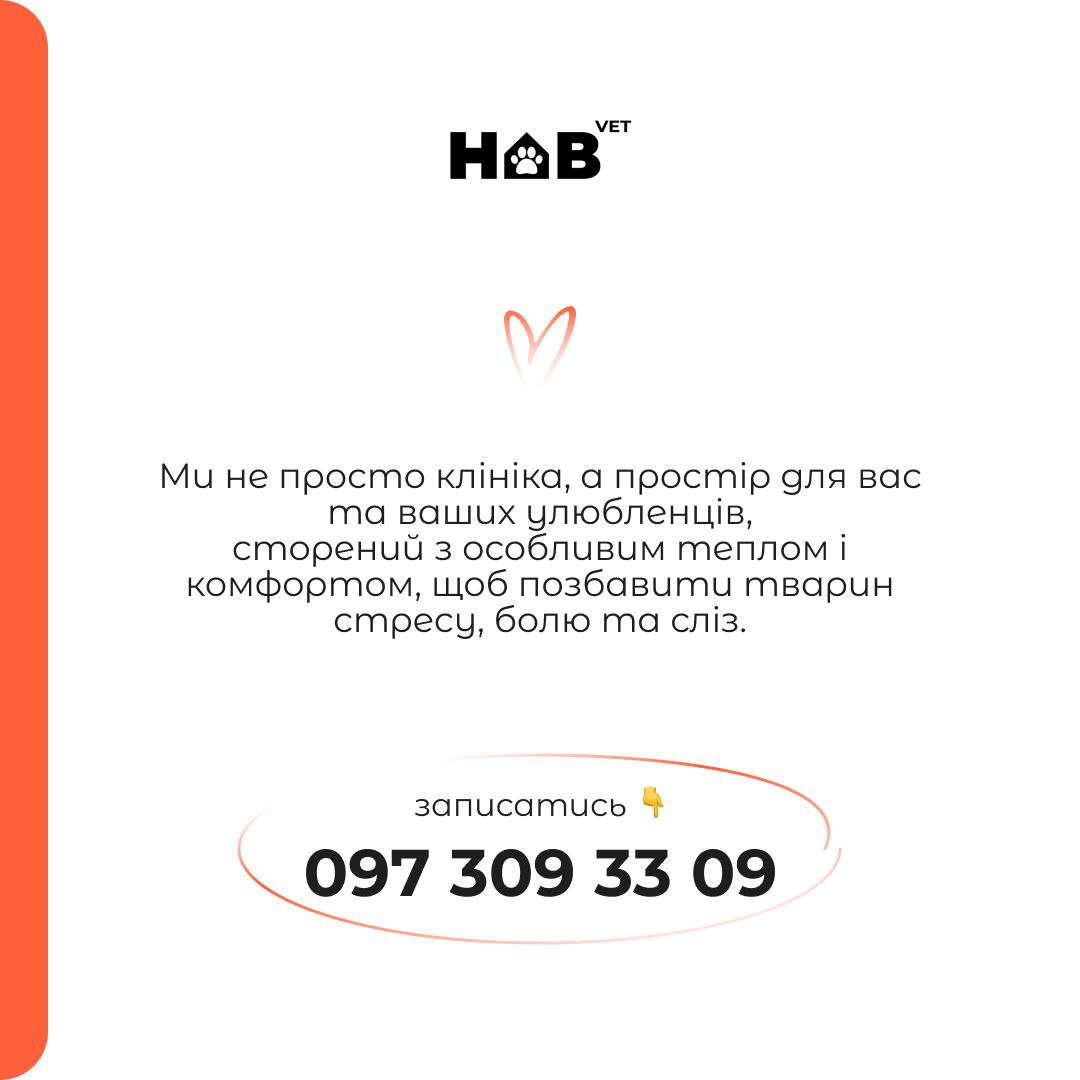 habvet-tab4