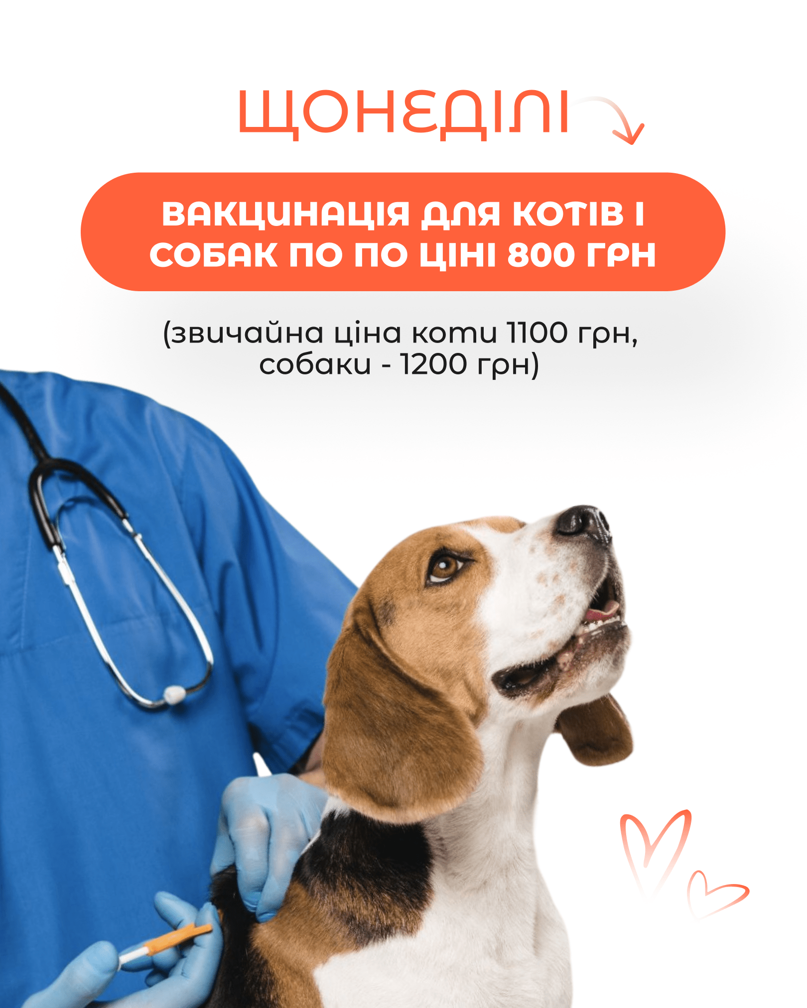 Habvet